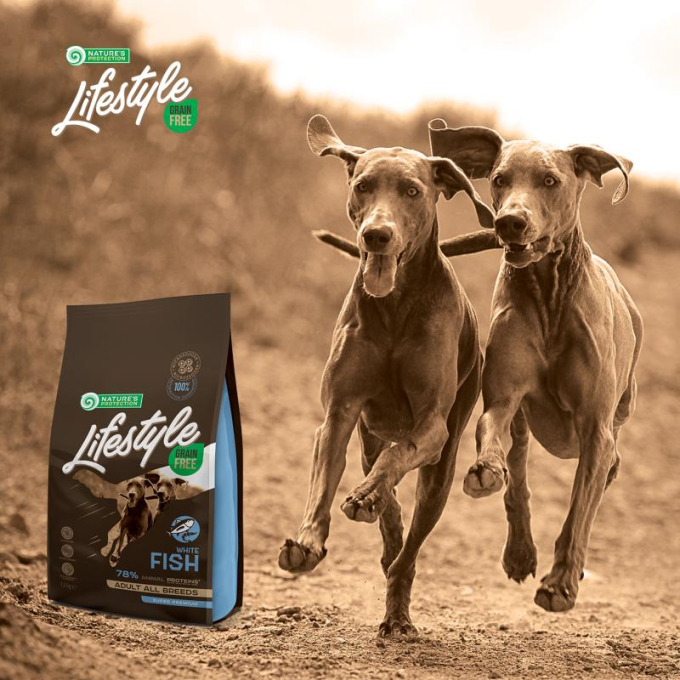 dry grain free food for adult dogs of all breeds with white fish